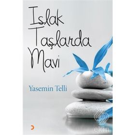 Islak Taşlarda Mavi - Yasemin Telli