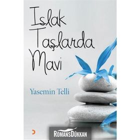 Islak Taşlarda Mavi - Yasemin Telli