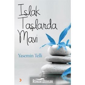 Islak Taşlarda Mavi - Yasemin Telli