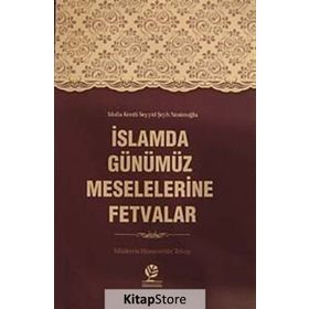 İslamda Günümüz Meselelerine Fetvalar - Hüsamettin Tokuş