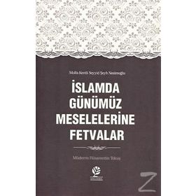 İslamda Günümüz Meselelerine Fetvalar - Hüsamettin Tokuş