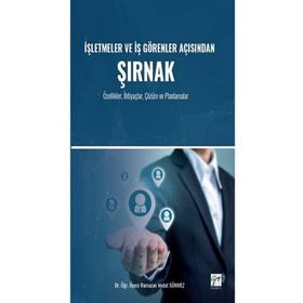 İşletmeler ve İş Görenler Açısından Şırnak - Ramazan Vedat Sönmez