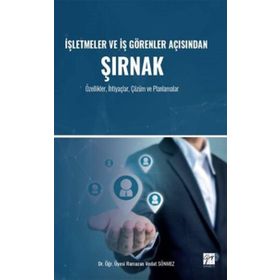 İşletmeler ve İş Görenler Açısından Şırnak - Ramazan Vedat Sönmez