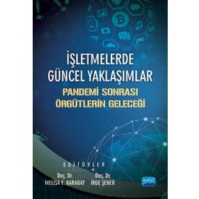 İşletmelerde Güncel Yaklaşımlar Pandemi Sonrası Örgütlerin Geleceği-İrge Şener
