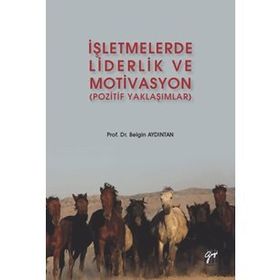 İşletmelerde Liderlik ve Motivasyon (Pozitif Yaklaşımlar) - Belgin AYDINTAN