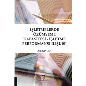 İşletmelerde Özümseme Kapasitesi - Aslı Geylan
