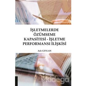 İşletmelerde Özümseme Kapasitesi - Aslı Geylan