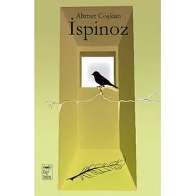 İSPINOZ - GENEL