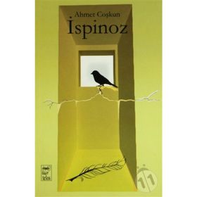 İSPINOZ - GENEL