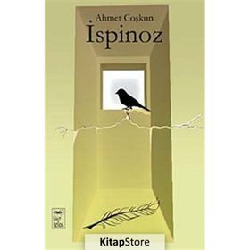İSPINOZ - GENEL