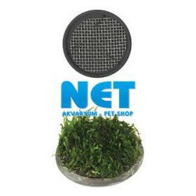 Ista 5 cm Yuvarlak Seramik Bitki Tabanı