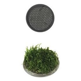 Ista 5 cm Yuvarlak Seramik Bitki Tabanı