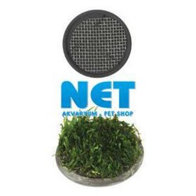 Ista 5 cm Yuvarlak Seramik Bitki Tabanı