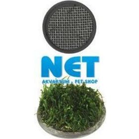 Ista 5 cm Yuvarlak Seramik Bitki Tabanı