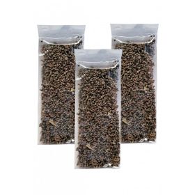 İstanbul Baharat 100 gr Hayt Tohumu (3 adet)