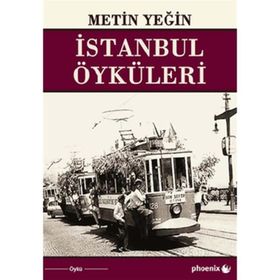 İSTANBUL ÖYKÜLERİ - METIN YEĞİN