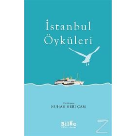 İSTANBUL ÖYKÜLERİ - METIN YEĞİN