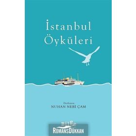 İSTANBUL ÖYKÜLERİ - METIN YEĞİN