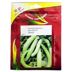 İstanbul Tohumculuk 10 gr Acur Tohumu