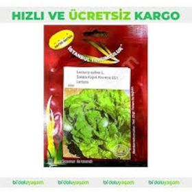 İstanbul Tohumculuk 10 gr Kışlık Kıvırcık Tohumu