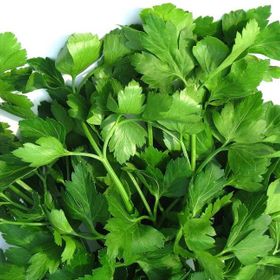 İstanbul Tohumculuk 10 gr Maydanoz Tohumu