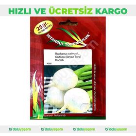 İstanbul Tohumculuk 25 gr Beyaz Turp Tohumu