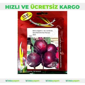 İstanbul Tohumculuk 25 gr Pancar Tohumu