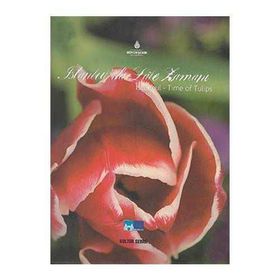 İSTANBUL'DA LALE ZAMANI İSTANBUL - TIME OF THE TULIPS - KOLEKTIF