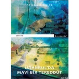 İSTANBUL'DA MAVI BIR TEREDDÜT - ATILLA BIRKIYE