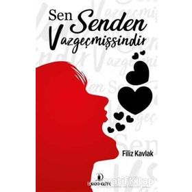 İSTANBULDAN ÇIKIŞ MILLI MÜCADELEYE GİRİŞ - ALI ARSLAN