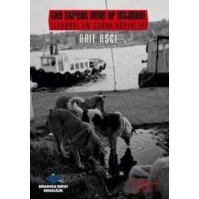 İSTANBUL'UN SOKAK KÖPEKLERİ - ARIF AŞÇI