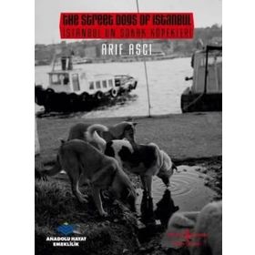 İSTANBUL'UN SOKAK KÖPEKLERİ - ARIF AŞÇI