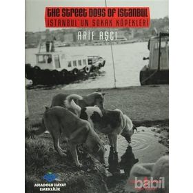 İSTANBUL'UN SOKAK KÖPEKLERİ - ARIF AŞÇI