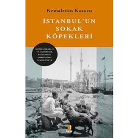 İstanbul'un Sokak Köpekleri - Kemalettin Kuzucu