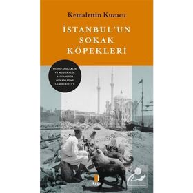 İstanbul'un Sokak Köpekleri - Kemalettin Kuzucu