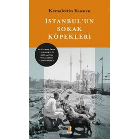 İstanbul'un Sokak Köpekleri - Kemalettin Kuzucu