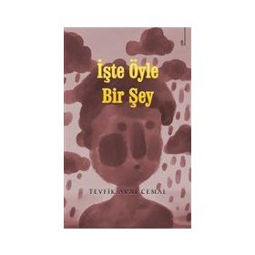 İşte Öyle Bir Şey - Tevfik Avni Cemal