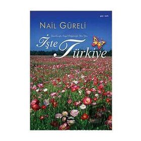 İŞTE TÜRKİYE - NAIL GÜRELİ