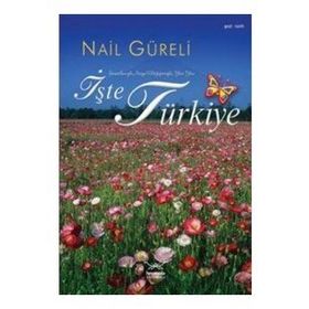 İŞTE TÜRKİYE - NAIL GÜRELİ