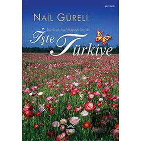 İŞTE TÜRKİYE - NAIL GÜRELİ