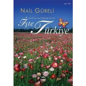 İŞTE TÜRKİYE - NAIL GÜRELİ