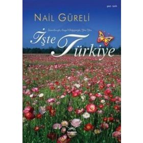 İŞTE TÜRKİYE - NAIL GÜRELİ