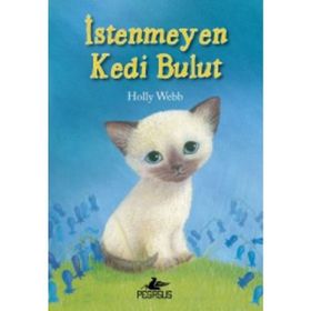 İstenmeyen Kedi Bulut - Holly Webb