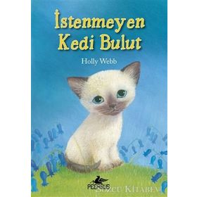 İstenmeyen Kedi Bulut - Holly Webb