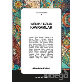 İstismar Edilen Kavramlar - Alaaddin Palevi