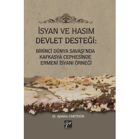 İsyan ve Hasım Devlet Desteği - Aytekin Cantekin