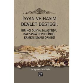 İsyan ve Hasım Devlet Desteği - Aytekin Cantekin