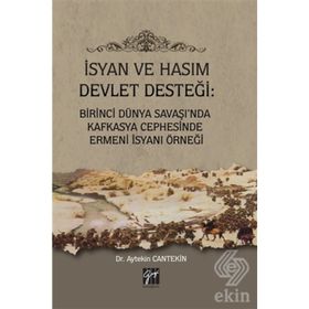 İsyan ve Hasım Devlet Desteği - Aytekin Cantekin