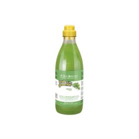 Iv San Bernard Mint Shampoo Canlandırıcı ve Onarıcı Naneli 500 ml Kedi Köpek Şampuanı