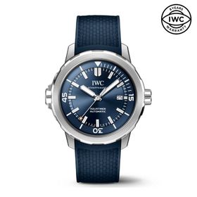IWC IW328801 Erkek Kol Saati